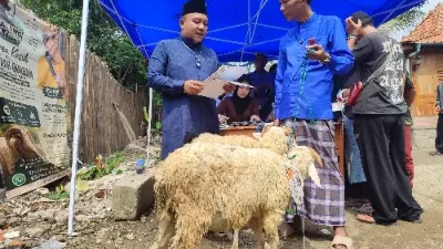 Tembus 300 Ekor! Kapalang Misteri Sebar Hewan Kurban Massal Sambut Idul Adha 1447 H